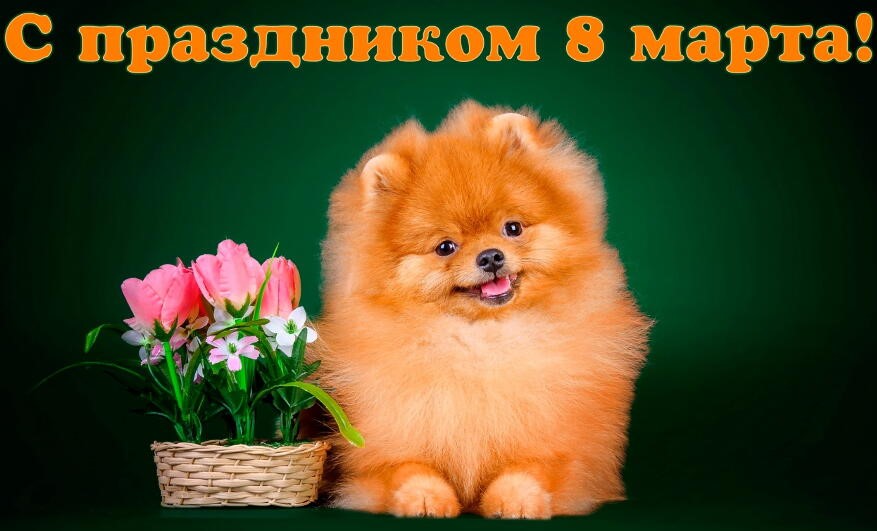 Поздравляем с наступающим Международным женским днем!